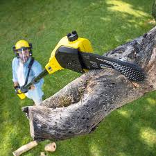 Best Hazardous Tree Removal  in Mustang, OK