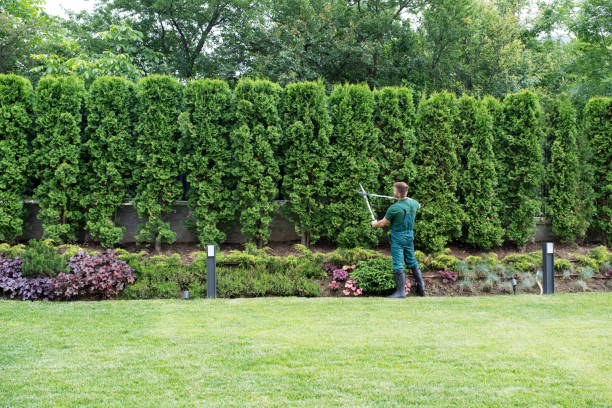 Best Hedge Trimming  in Mustang, OK