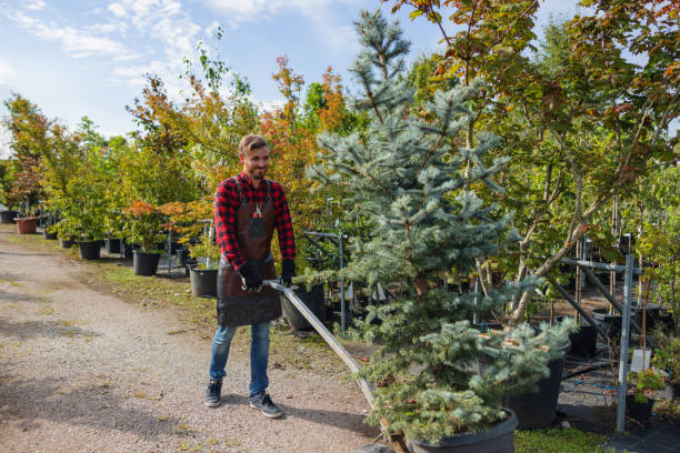 Mulching Services in Mustang, OK